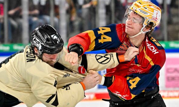 #del, #eishockey, #nit, #nuernbergicetigers, #icetigers, #puck, #pucki, #maskottchen, #nuernberg, #arena, #tor, #zuschauer, #fans, #hofmannpersonal, #vielfaltgewinnt, #keinfanohnejob, #bodin, #nergie, #wbgnuernberg, #martinroth, #liebichpartner,
