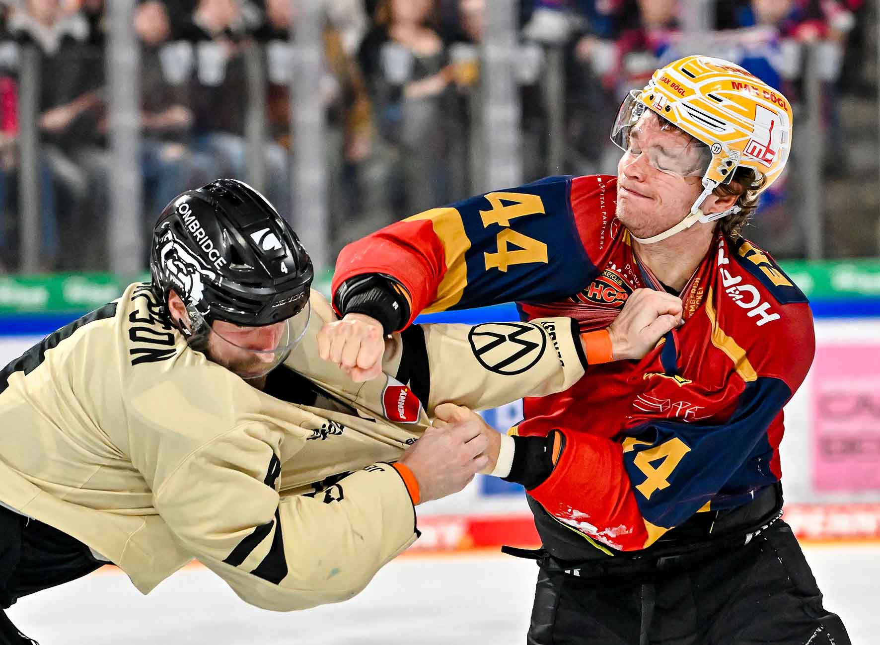 #del, #eishockey, #nit, #nuernbergicetigers, #icetigers, #puck, #pucki, #maskottchen, #nuernberg, #arena, #tor, #zuschauer, #fans, #hofmannpersonal, #vielfaltgewinnt, #keinfanohnejob, #bodin, #nergie, #wbgnuernberg, #martinroth, #liebichpartner,
