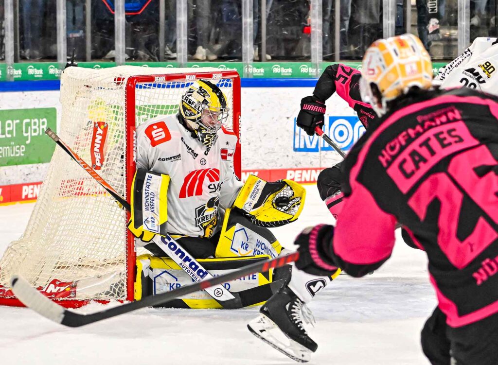 #del, #eishockey, #nit, #nuernbergicetigers, #icetigers, #puck, #pucki, #maskottchen, #nuernberg, #arena, #tor, #zuschauer, #fans, #hofmannpersonal, #vielfaltgewinnt, #keinfanohnejob, #bodin, #nergie, #wbgnuernberg, #höflergemüse, #lorzservice, #martinroth, #nergie, #ehc80,