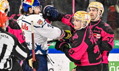#del, #eishockey, #nit, #nuernbergicetigers, #icetigers, #puck, #pucki, #maskottchen, #nuernberg, #arena, #tor, #zuschauer, #fans, #hofmannpersonal, #vielfaltgewinnt, #keinfanohnejob, #bodin, #nergie, #wbgnuernberg, #martinroth, #liebichpartner,