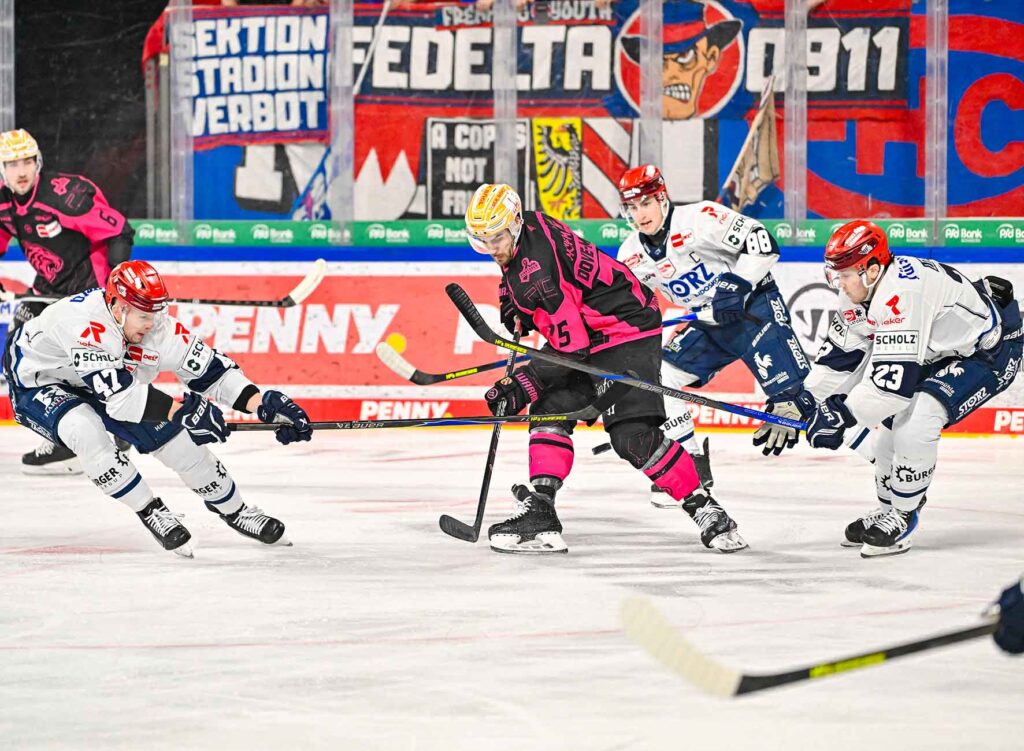 #del, #eishockey, #nit, #nuernbergicetigers, #icetigers, #puck, #pucki, #maskottchen, #nuernberg, #arena, #tor, #zuschauer, #fans, #hofmannpersonal, #vielfaltgewinnt, #keinfanohnejob, #bodin, #nergie, #wbgnuernberg, #martinroth, #liebichpartner,