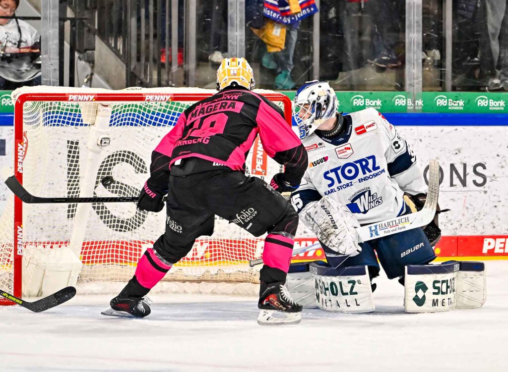 #del, #eishockey, #nit, #nuernbergicetigers, #icetigers, #puck, #pucki, #maskottchen, #nuernberg, #arena, #tor, #zuschauer, #fans, #hofmannpersonal, #vielfaltgewinnt, #keinfanohnejob, #bodin, #nergie, #wbgnuernberg, #martinroth, #liebichpartner,